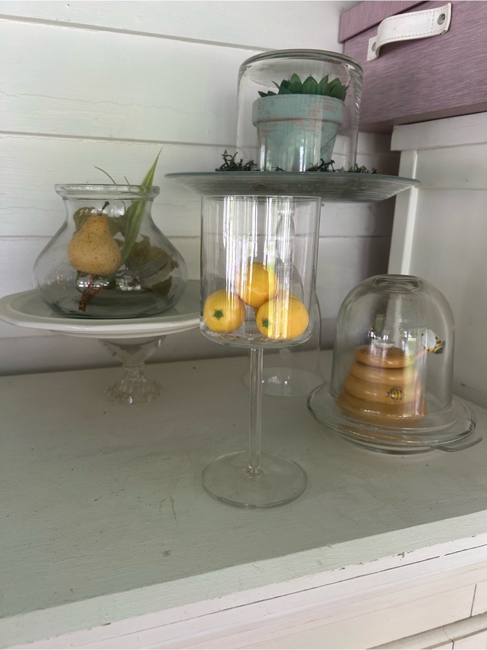 Clear Glass Pedestal Display with Dome - Transparent Glass, Fruit and Bee Hive